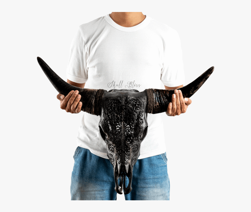 Skull Variant Skull Only - Horn, HD Png Download