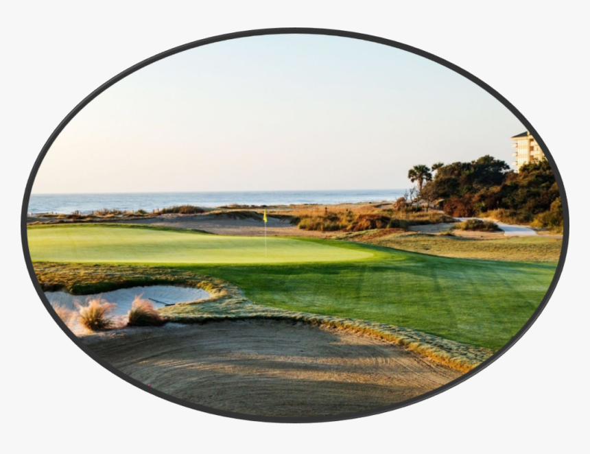 Grass, HD Png Download