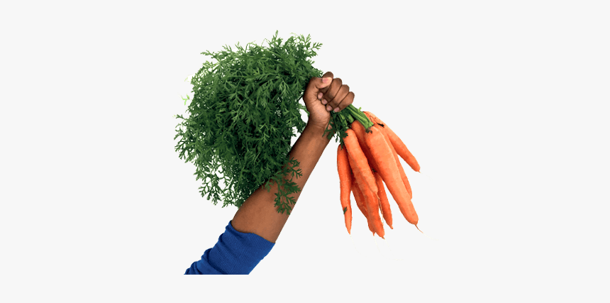 Grass, HD Png Download