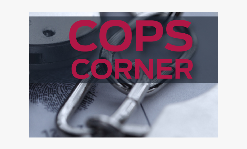 Ormond Beach Observer, HD Png Download