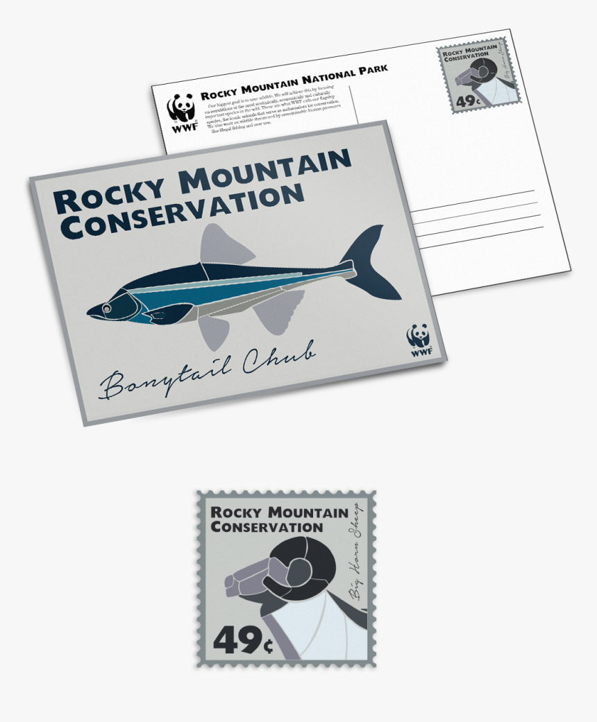 Representasi, HD Png Download