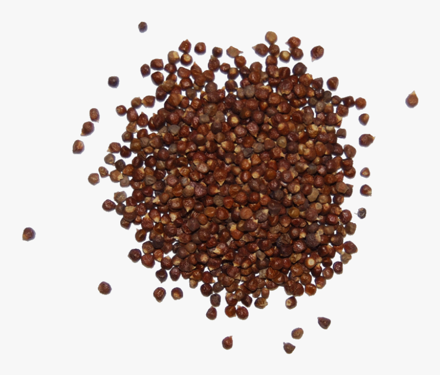 Mustard Seed, HD Png Download