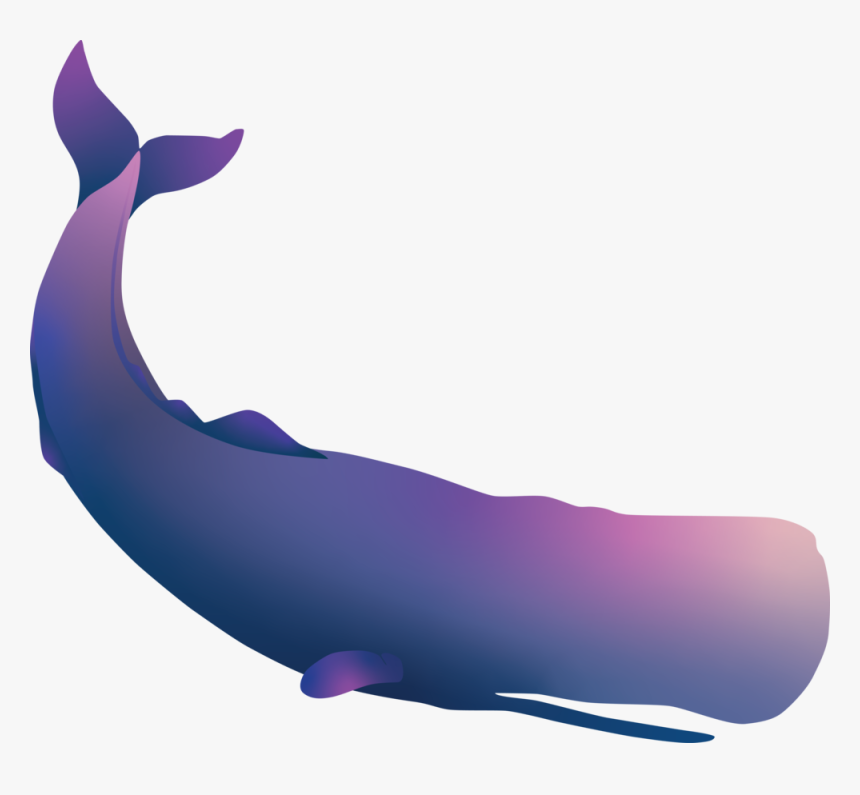 Sperm Whale - Whale, HD Png Download