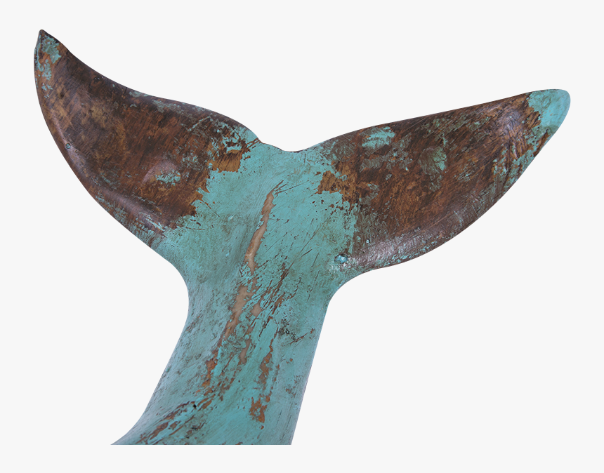 Large Sperm Whale With Base, Batela Uk - Antique Tool, HD Png Download