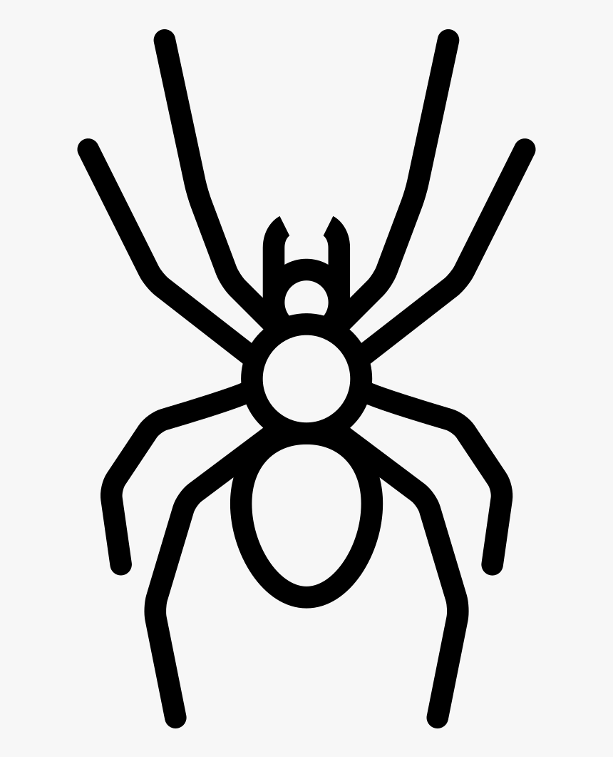 Big Spider - Portable Network Graphics, HD Png Download