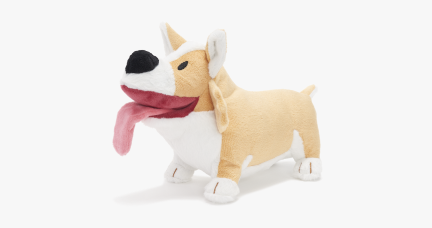 Pembroke Welsh Corgi, HD Png Download