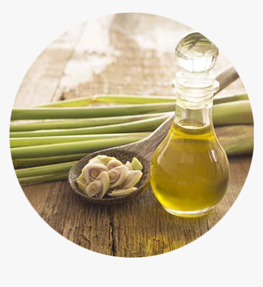 Lemongrass And Garlic As Mosquito Repellent, HD Png Download