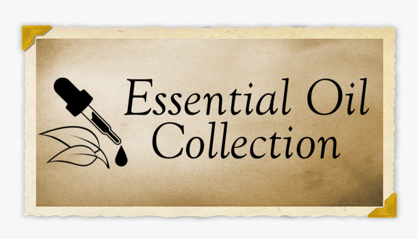 Calligraphy, HD Png Download