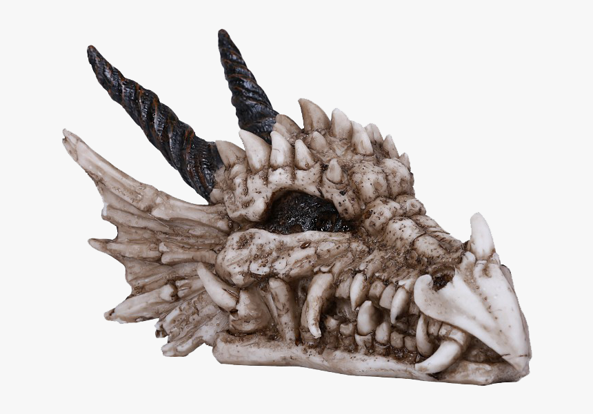 Dragon Skull Statue - Statue, HD Png Download