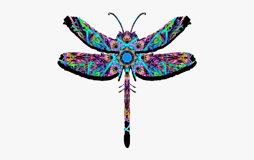 Dragonfly, HD Png Download