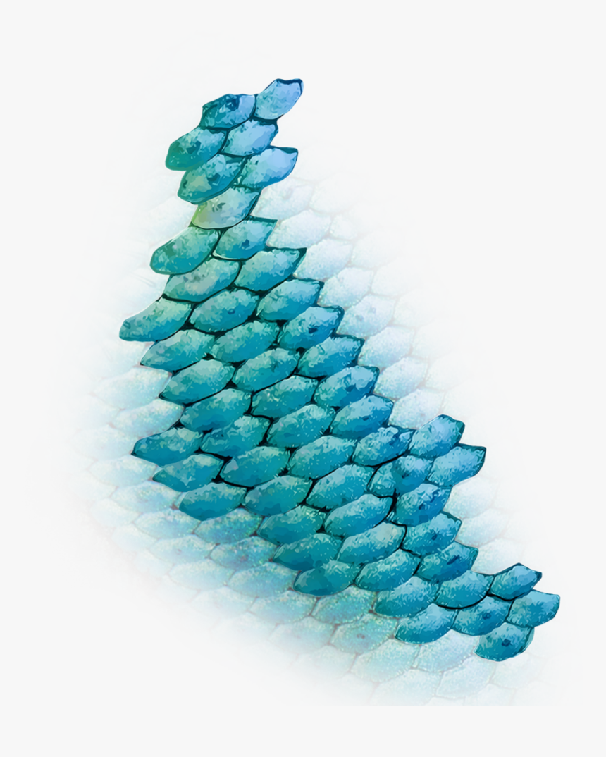 Mermaid Scales Png Mermaid Fish Scale Png Transparent Png Transparent Png Image Pngitem