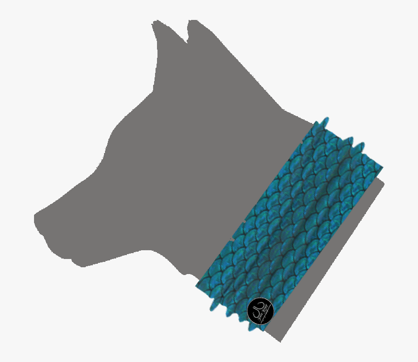 Schipperke, HD Png Download