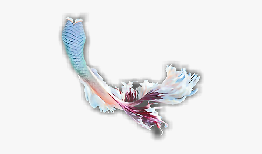 #cute #mermaid #scales #wallpaper - Illustration, HD Png Download