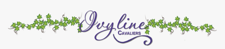 Ivyline Cavaliers - Calligraphy, HD Png Download