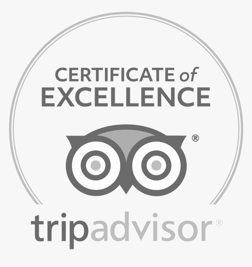 Trip Advisor, HD Png Download