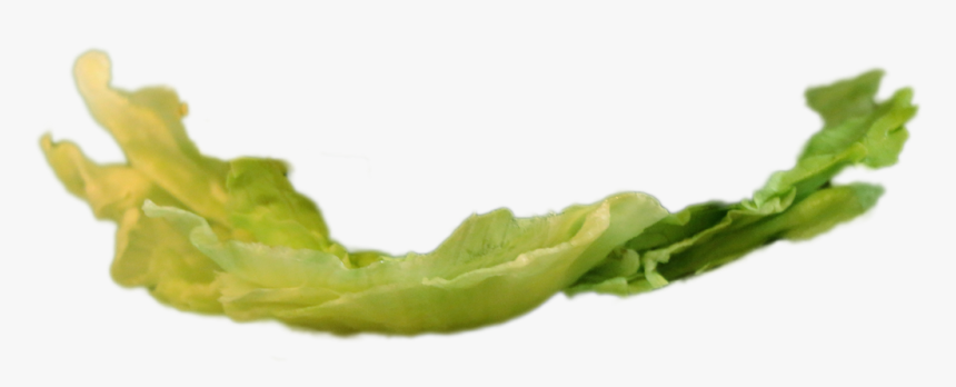 Chard, HD Png Download