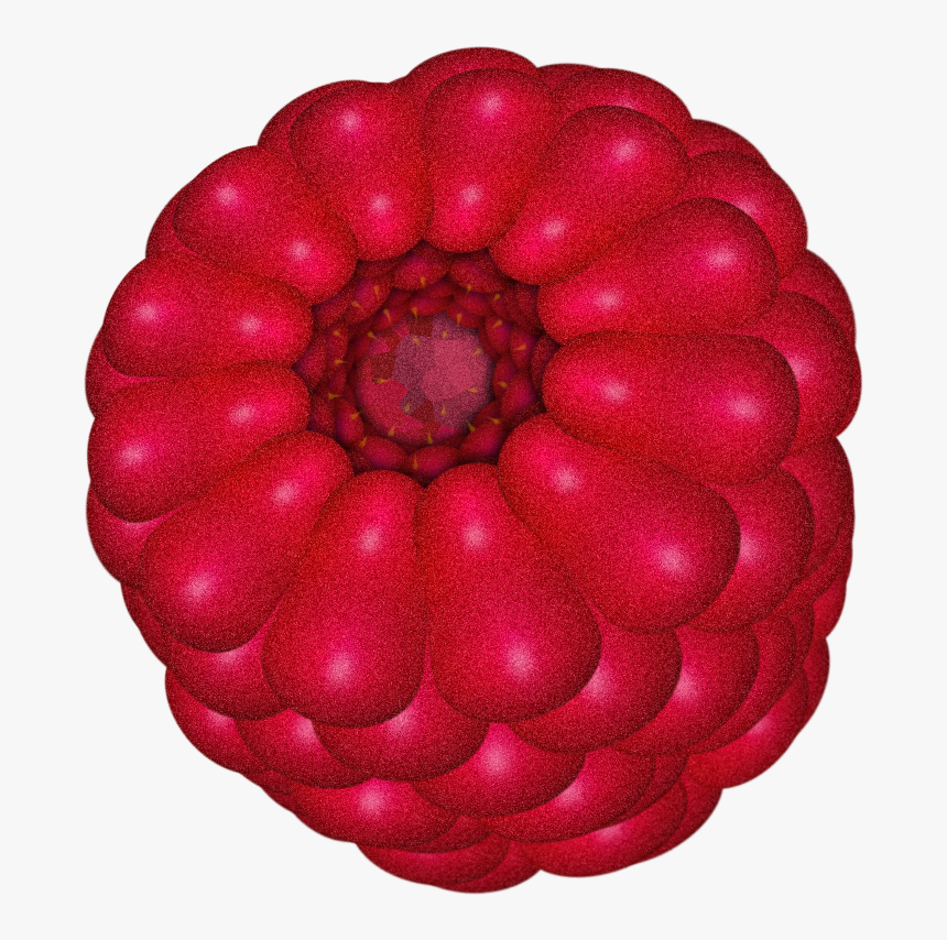 Raspberry 003 513d890 - Common Zinnia, HD Png Download