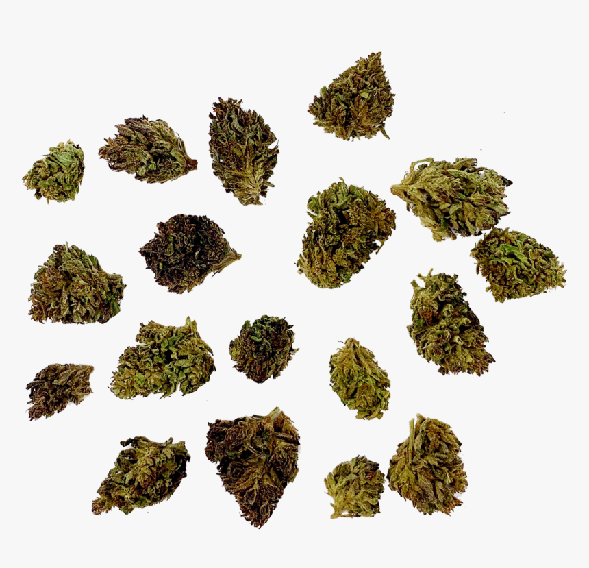 Moss, HD Png Download