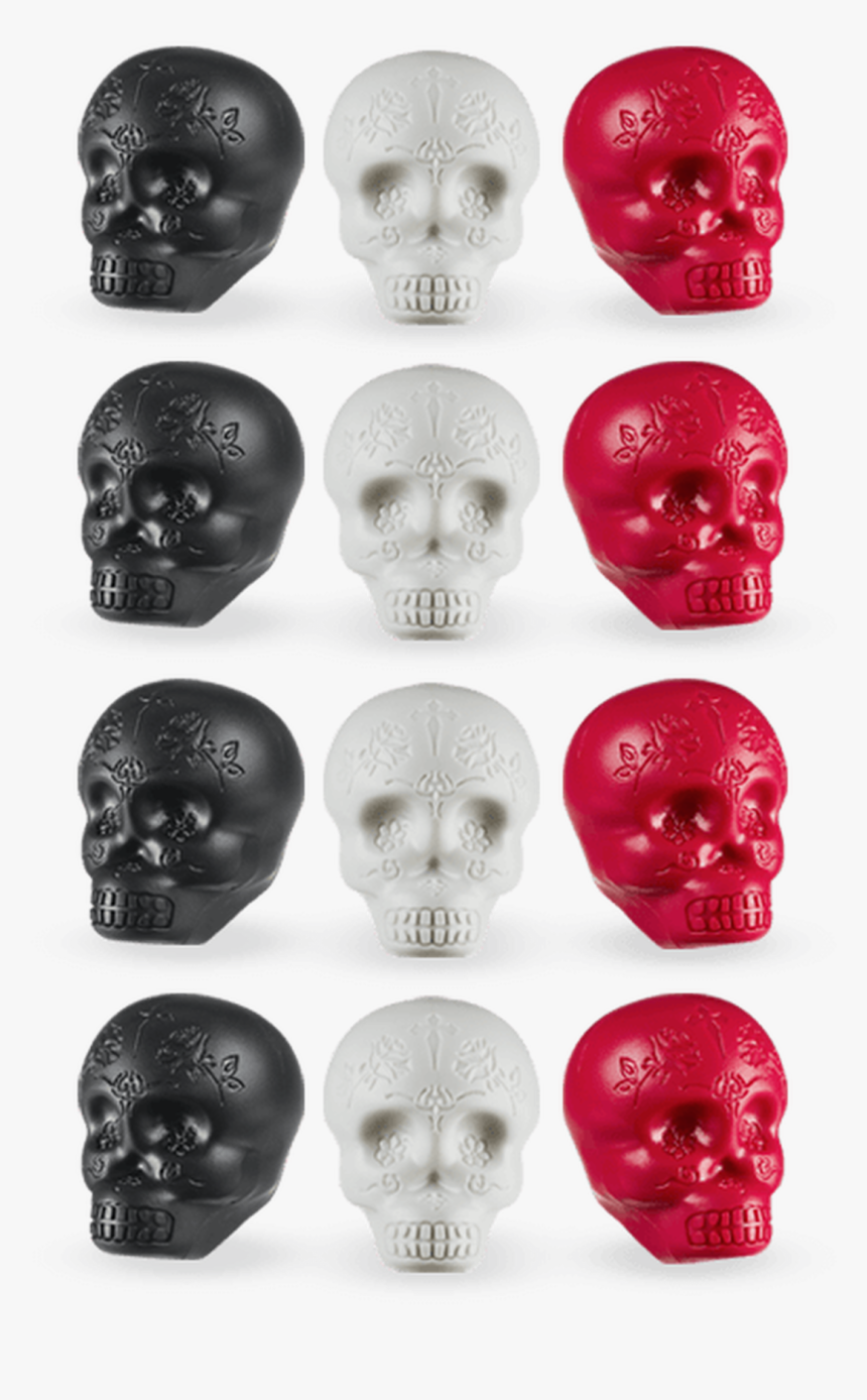 Lp Sugar Skull Shakers 12pk Display Box, HD Png Download