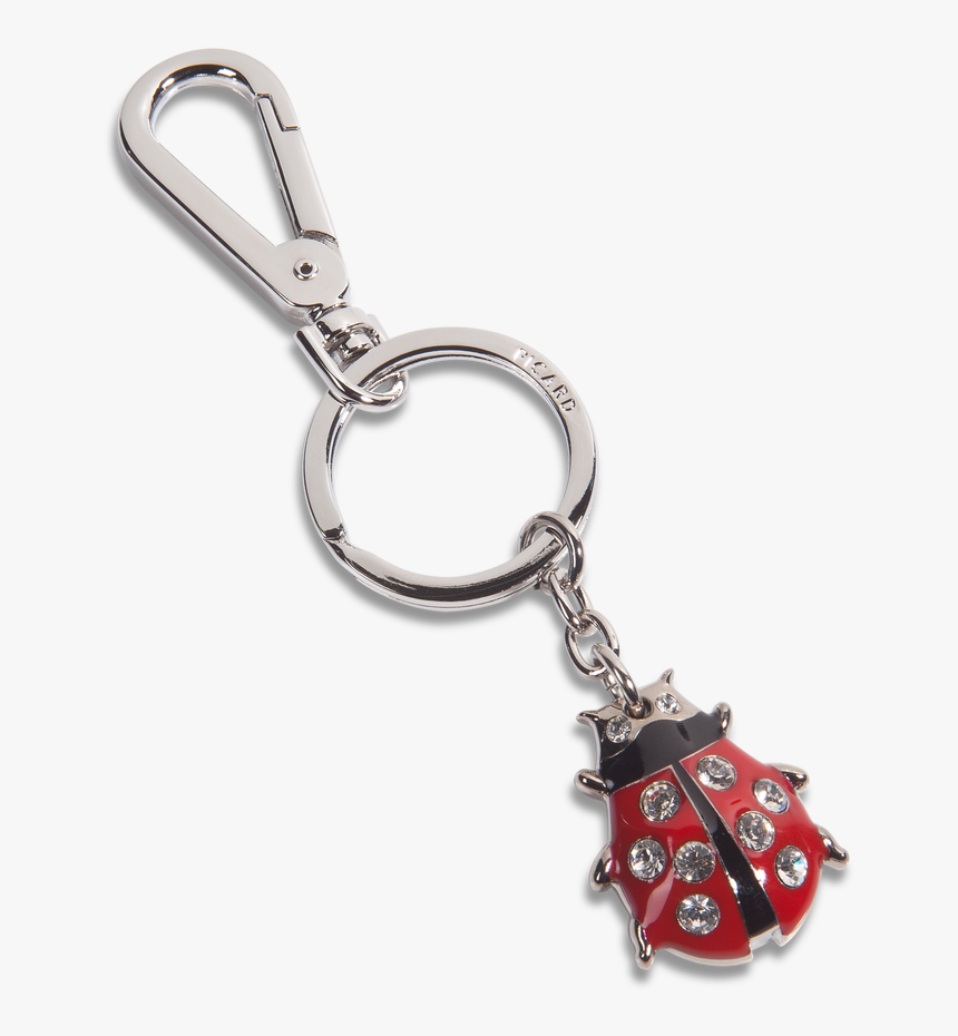 Key Holder Png Pic - Přívěšek Na Klíče Beruška, Transparent Png