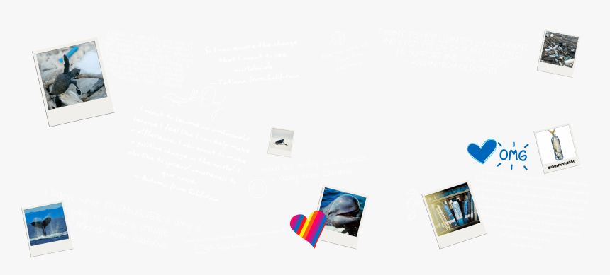 Graphic Design, HD Png Download