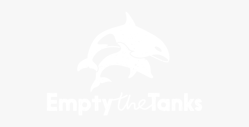 Short-beaked Common Dolphin, HD Png Download