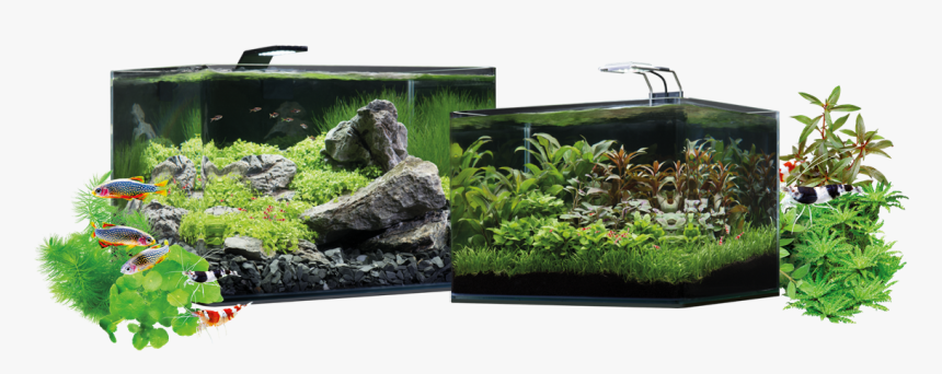 Dennerle Nano Scapers Tank, HD Png Download
