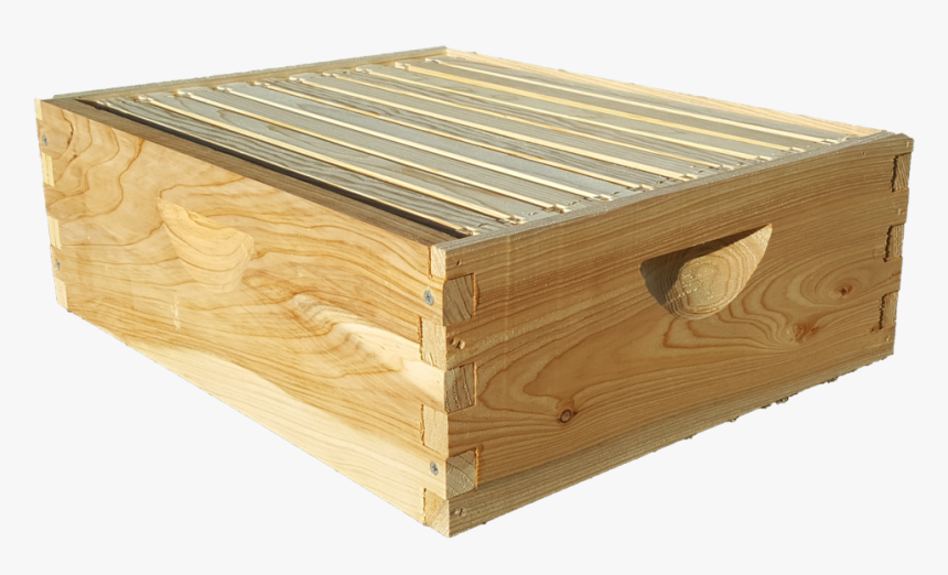 Cypress Medium 10 Frame With Frames - Plywood, HD Png Download