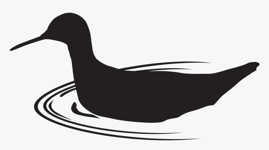 Phalaropes Silhouette, HD Png Download