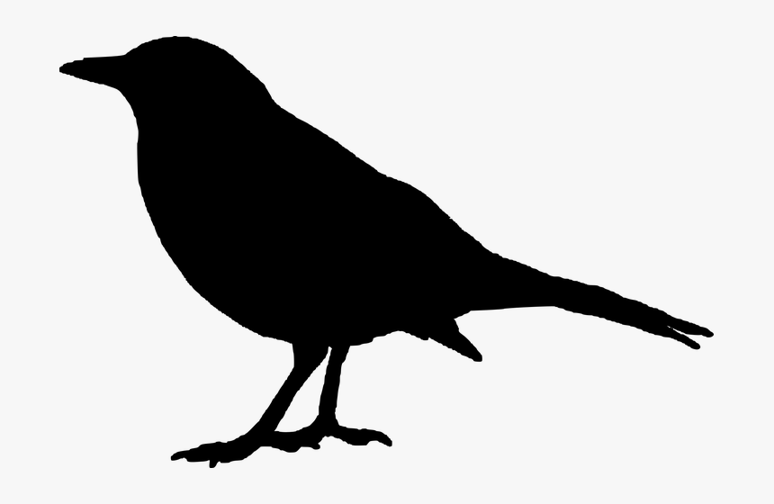Raven Clipart, HD Png Download