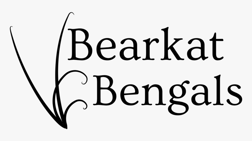 Bengals Png, Transparent Png