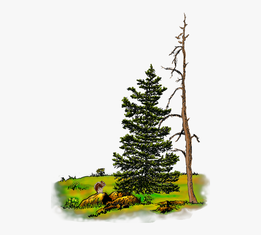 Ink, HD Png Download