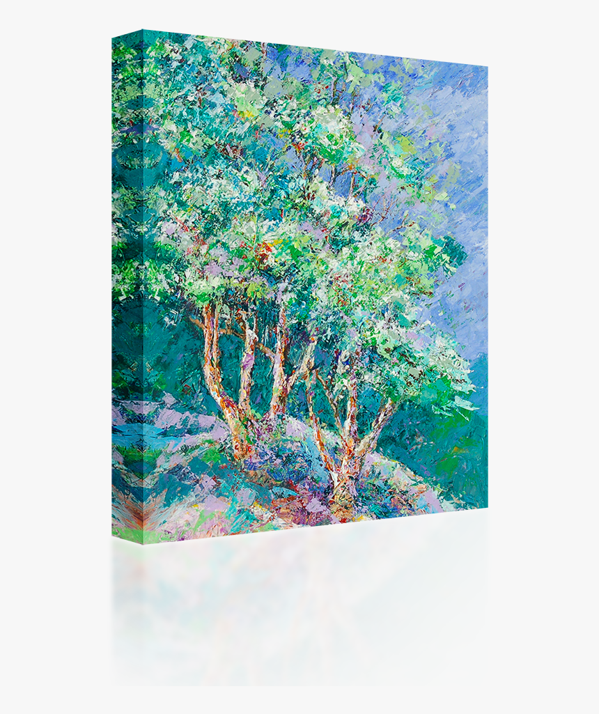 River Birch, HD Png Download