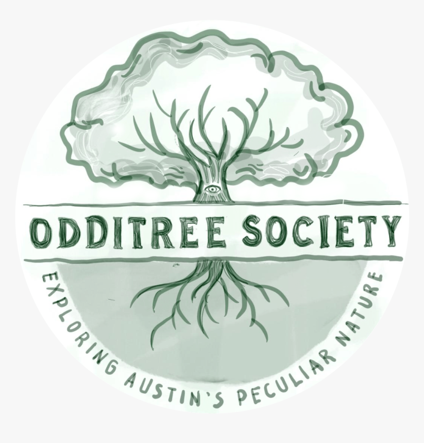 Label, HD Png Download