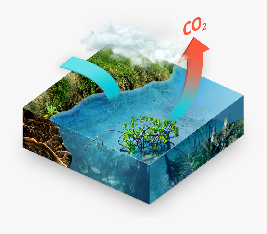 Islet, HD Png Download