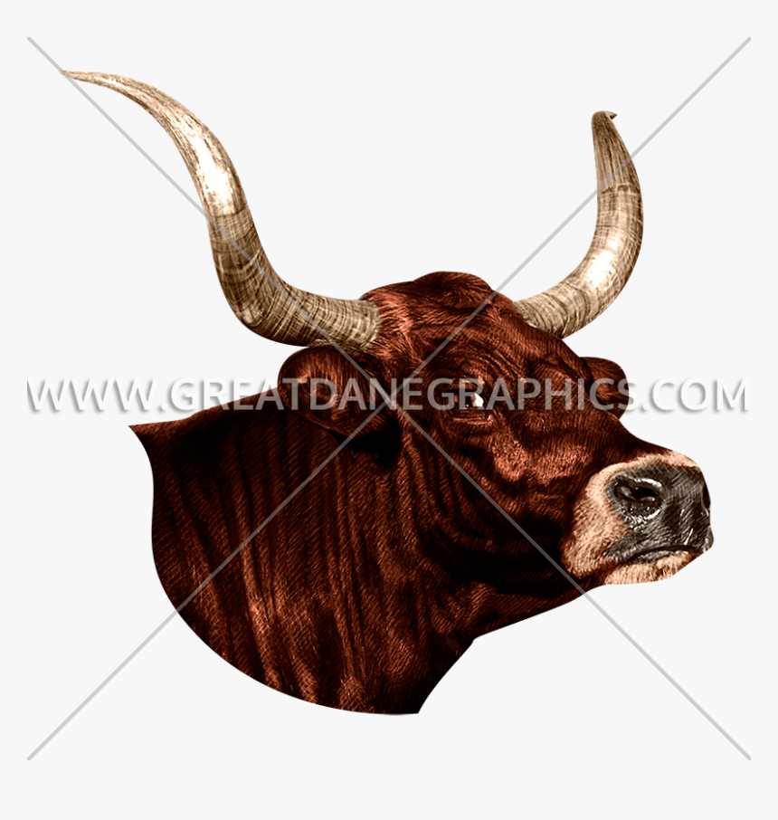 Sticker, HD Png Download