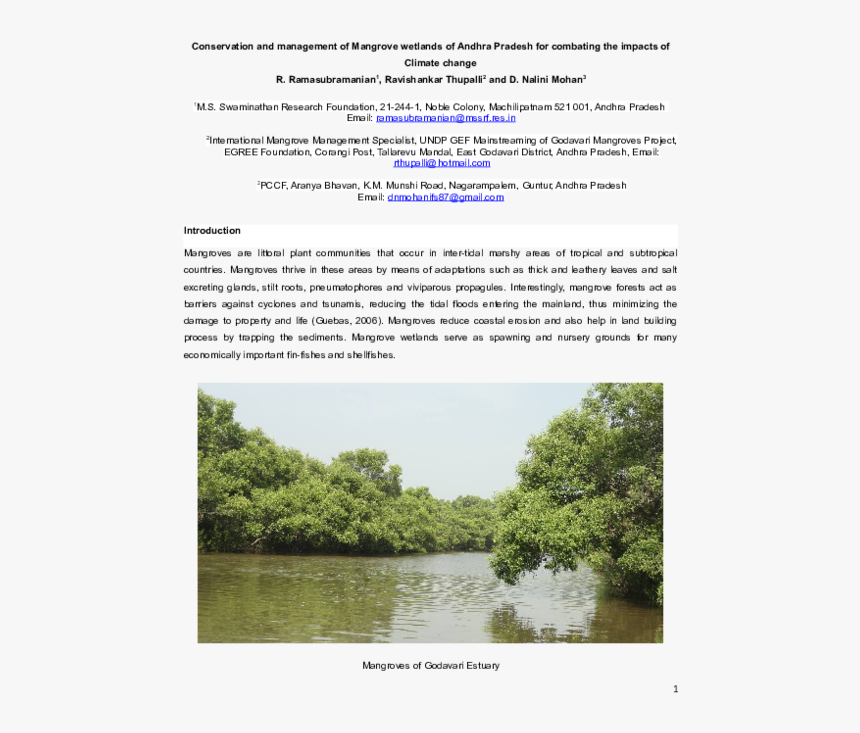 Tree, HD Png Download