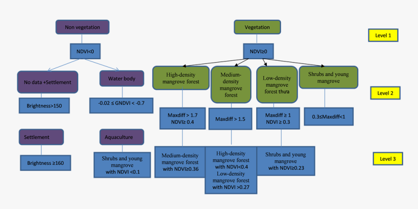 Classification Of Mangrove, HD Png Download