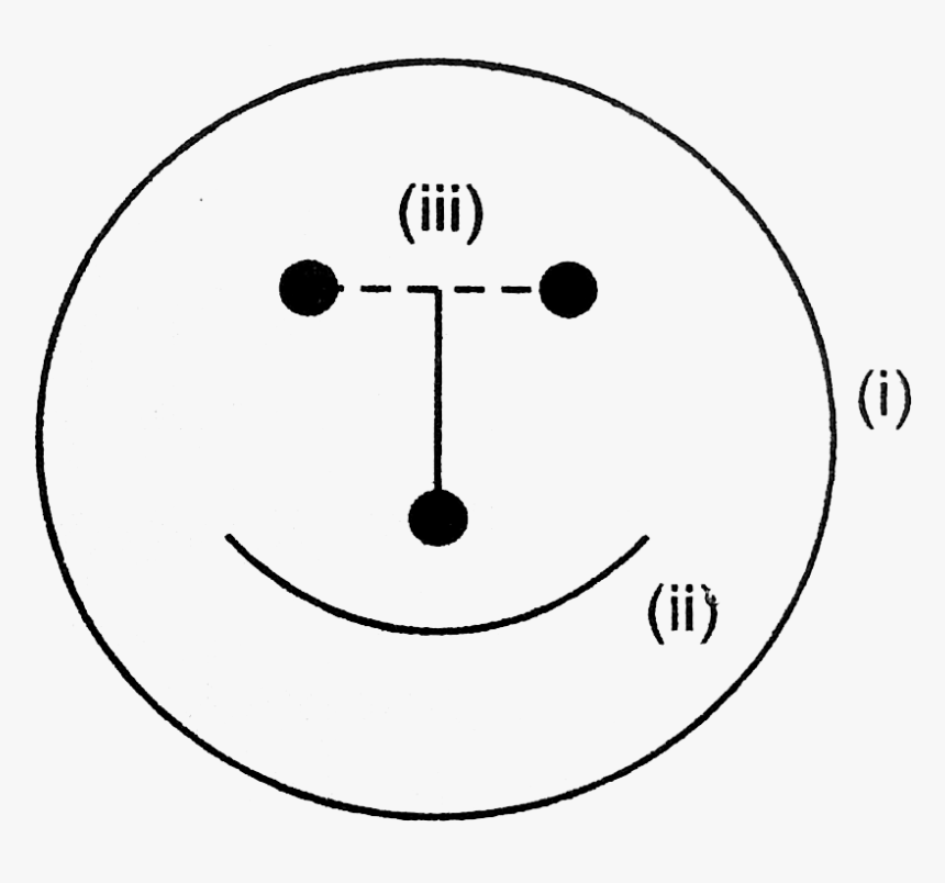 Circle, HD Png Download