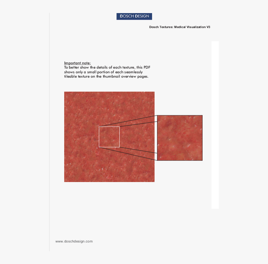 Orange, HD Png Download