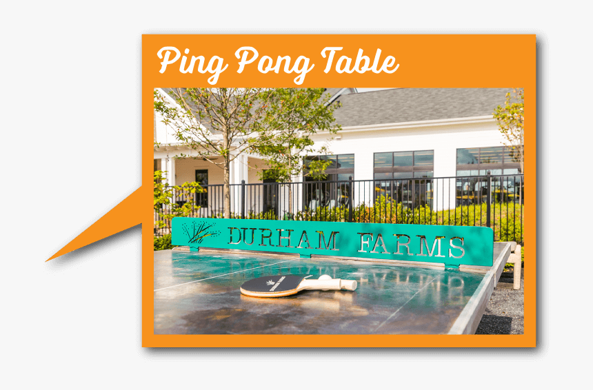 Signage, HD Png Download