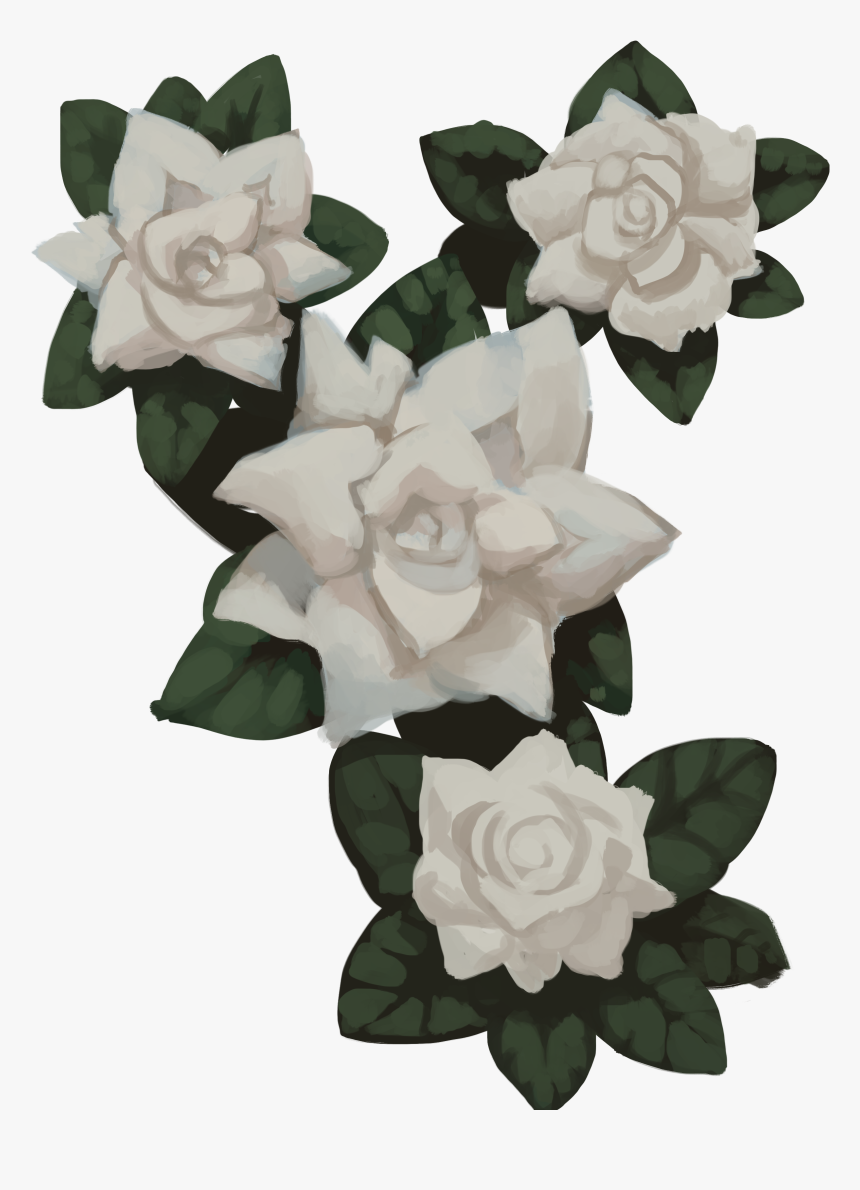 Gardenia Transparent , Png Download, Png Download