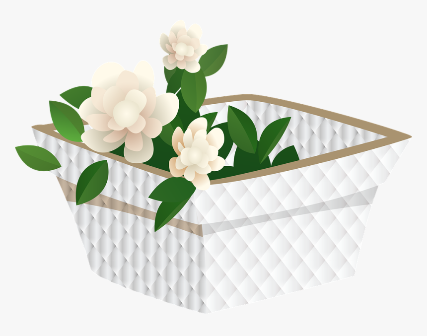 Gardenia, HD Png Download