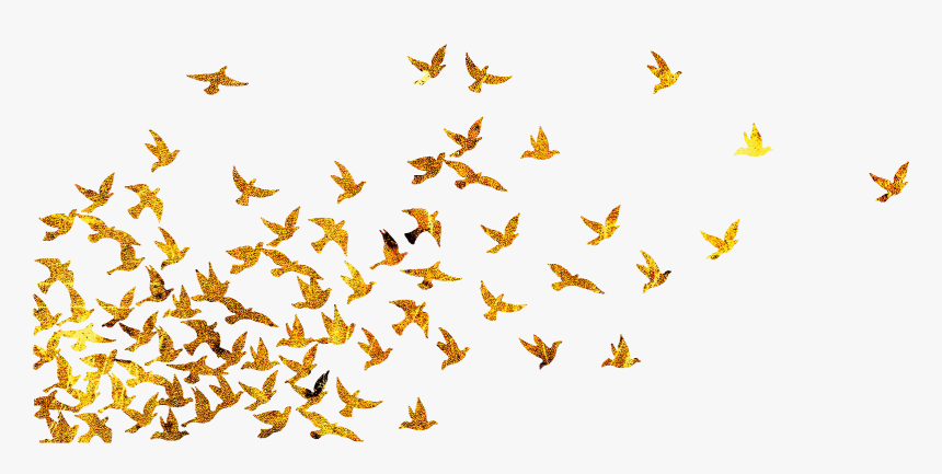 Flock Of Birds Silhouette, HD Png Download