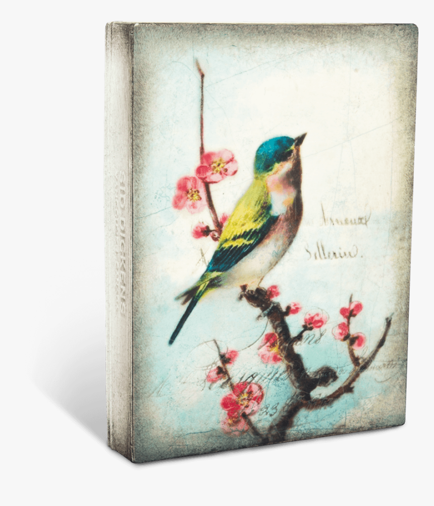 Vintage Pajaros Fondo , Png Download - Best Painting Of Birds, Transparent Png