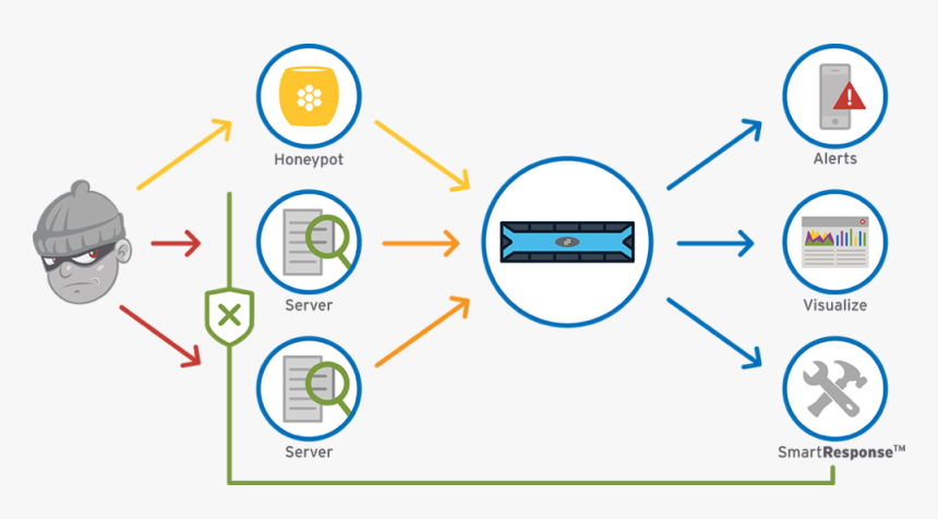 Honeypot Diagram - Honeypot Security, HD Png Download