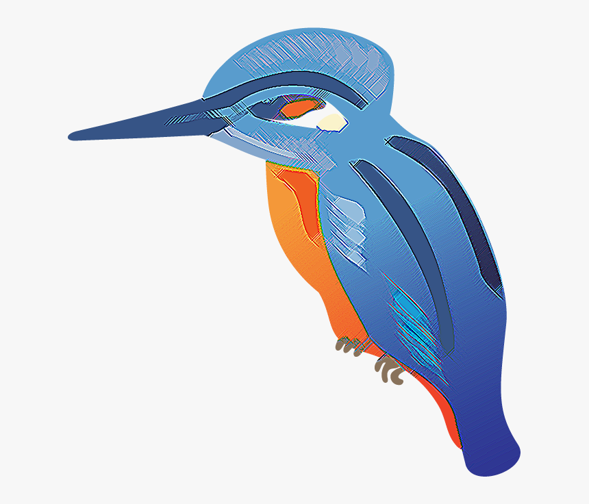 Bird-of-paradise, HD Png Download