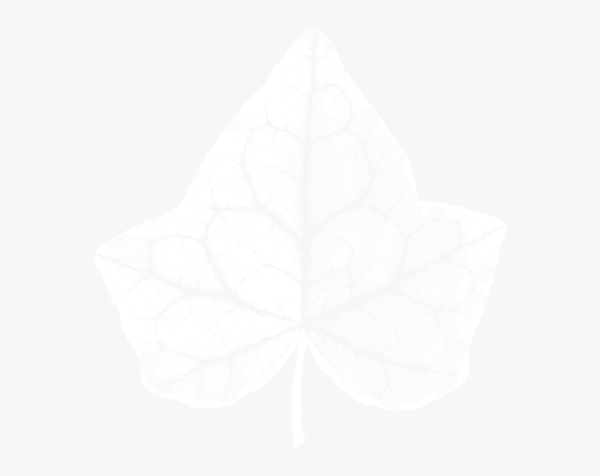 The Ivy Logo - Macro Photography, HD Png Download
