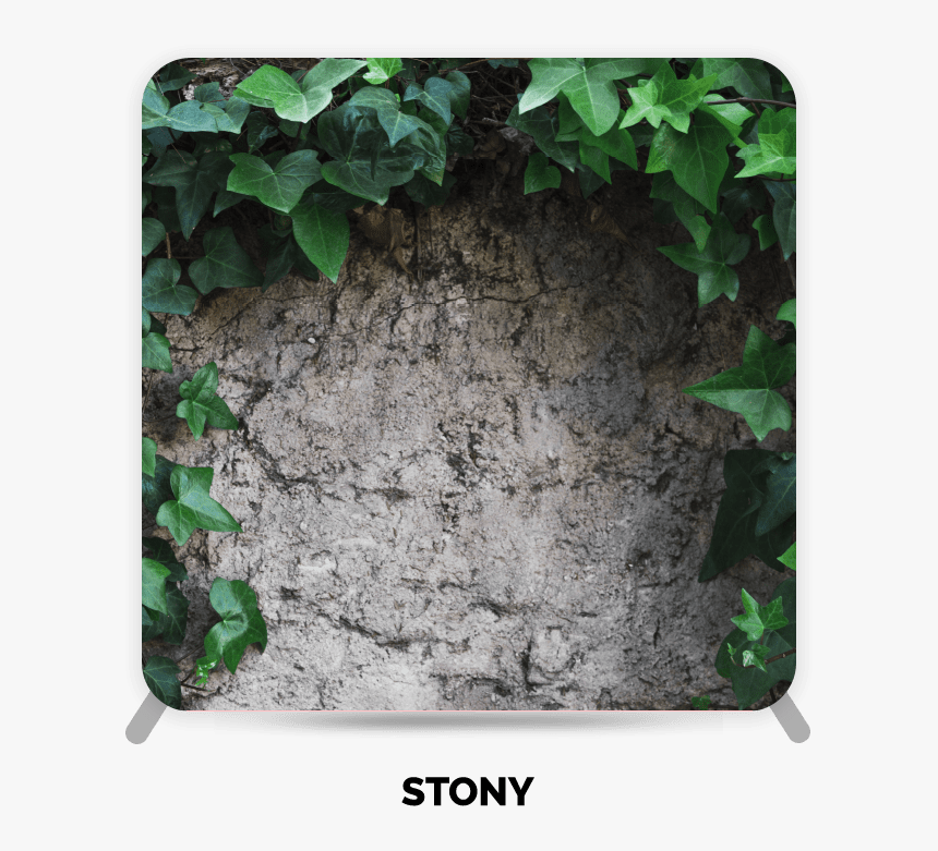 Moss, HD Png Download