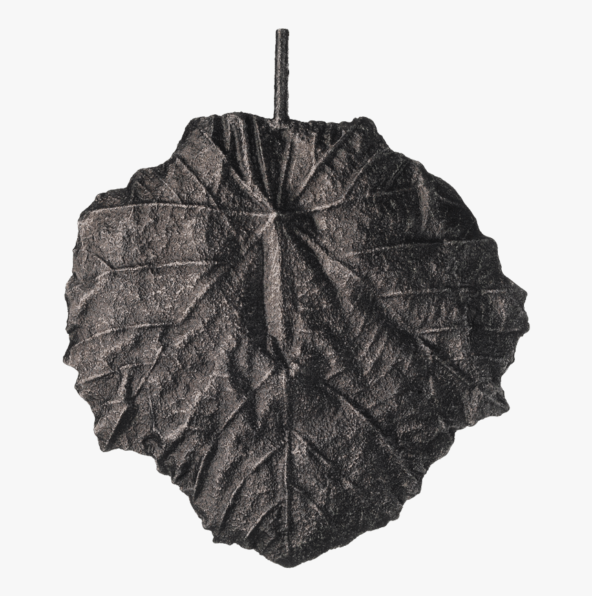 Pr - Umbrella, HD Png Download